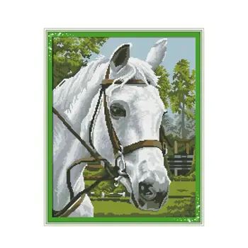 Baltas arklys Diamond tapybos kryželiu rinkinys Aikštėje Turas Gręžimo siūlės siuvinėjimo 