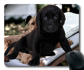 Šunų Mylėtojas Pelės Mygtukai,Izoliuoti Labradoro Šuo Gyvūnų Grynaveislių Šunų Šuniuką,šunys, pelės kilimėlis