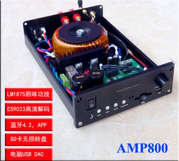 AMP800 LM1875 stiprintuvo su 